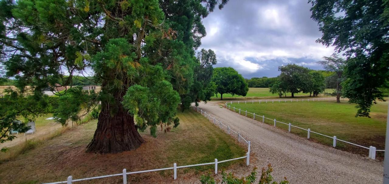 Velles Le Sequoia住宿加早餐旅馆 外观 照片